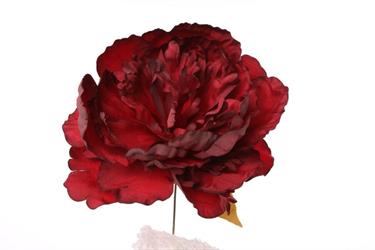 Pick Peonia