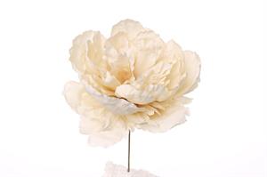 Pick Peonia Crema h 18 cm Ø 18 cm