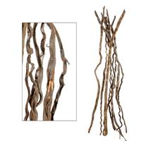 Cipo Correira Naturale h 2 mt