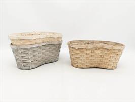 Cesto 2 Piante Bamboo Col Ass h 13 cm l 29x18 cm