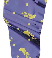 Coni Argento ST Mimosa 35MY 100PZ Blu h 30 cm l 17 cm