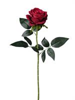 Ramo Rosa Singola h 74 cm