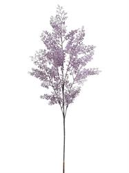 Ramo Springeri