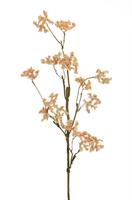 Ramo Lilla' Wild Arancio h 92 cm