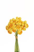 Bouquet Mini Ranuncolo x9/18 Giallo h 29 cm