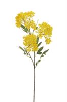 Ramo Snowball Spray x3 Giallo h 60 cm