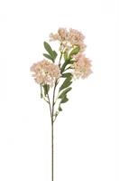 Ramo Snowball Spray x3 Rosa h 60 cm