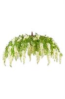 Cascata Glicine Bianco Ø 210 cm