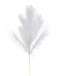 Ramo Pampas Bianco h 85 cm