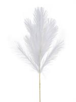 Ramo Pampas Bianco h 85 cm