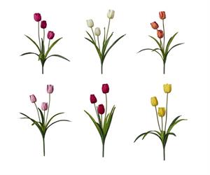 Bush Tulipano x3 6 Col. Assortito h 50 cm