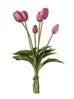 Mazzo Tulipano x6