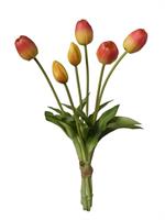 Mazzo Tulipano x6 Arancio h 39 cm