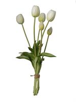 Mazzo Tulipano x6 Bianco h 39 cm