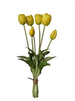 Mazzo Tulipano x6 Giallo h 39 cm