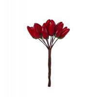 Mazzetto x 12 Peperoncino Rosso h 10 cm Ø 2.5 cm