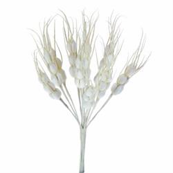 Mazzetto x 6 Spiga In Carta Crema h 14 cm Ø 5 cm
