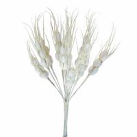 Mazzetto x 6 Spiga In Carta Crema h 14 cm Ø 5 cm