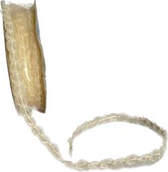 Cordone Genoma