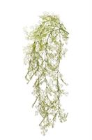 Bush x7 Gipsofila Pendente Verde h 84 cm