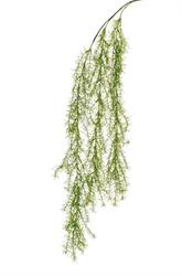 Bush Rosmarino Pendente Verde h 100 cm