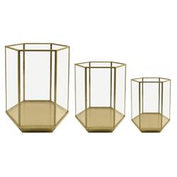 S/3 Terrarium Vetro/Metallo Oro h 35 cm Ø 30