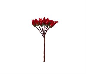 Mazzetto x 12 Peperoncino Rosso h 10 cm Ø 1.5 cm
