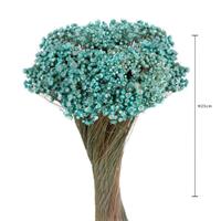 Mazzo Glixia Naturale Celeste h 25 cm