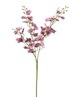 Ramo Orchidea Dancing Rosa h 90 cm