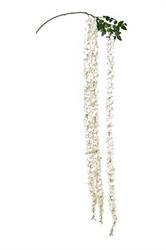 Ramo Glicine x 3 Bianco h 260 cm
