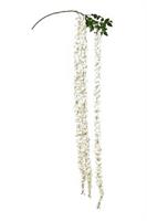 Ramo Glicine x 3 Bianco h 260 cm