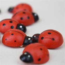 Coccinella Grande Ø 2.5 cm Cf 24 Pz