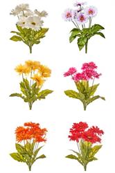 Bush Gerbera x 7