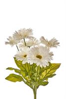 Bush Gerbera x 7 Bianco h 50 cm
