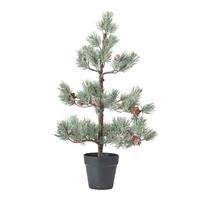 Albero Pino Bonsai C/Pigne Grigio h 68 cm