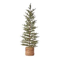 Albero Pino Canada C/Cesto