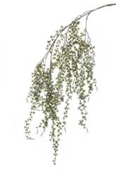Ramo Pino Larix Ghiacciato x 6 h 146 cm