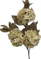 Ramo Ortensia x 3 Crema h 90 cm