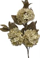 Ramo Ortensia x 3 Crema h 90 cm