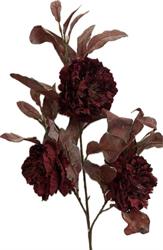 Ramo Peonia x 3 Bordo' h 90 cm