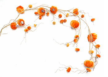 Ghirlanda C/Zucca T Velluto h 166 cm