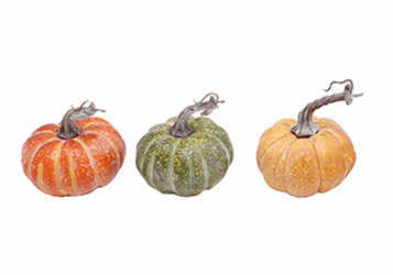 Zucca T Ass Cf 6 PZ l 11x12 cm