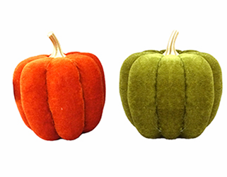 Zucca T Velluto Ass l 12.5x14 cm