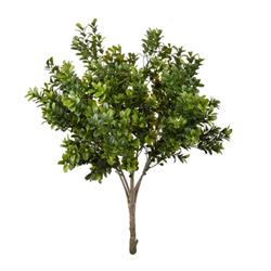 Bush Bosso x7 Verde h 57 cm