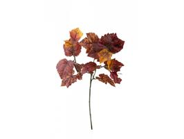 Ramo Vite x3 Bordeaux h 65 cm