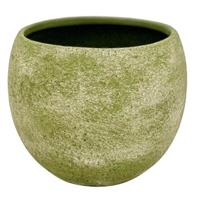 Caspò Bombato Terracotta Verde h 8 cm Ø 10 cm