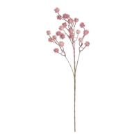 Ramo Pon Pon Rosa h 62 cm