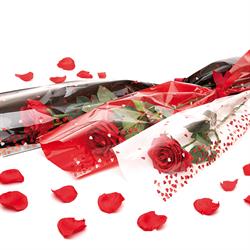 Spezzoni FP+ST Cuori