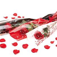 Spezzoni FP+ST Cuori