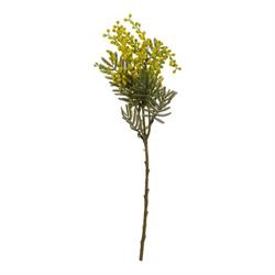Ramo Mimosa h 58 cm